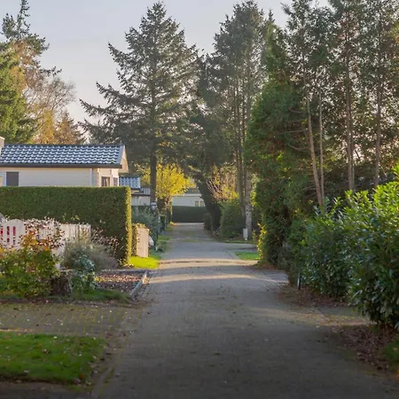 With Fireplace In The Heart Of Veluwe Holiday home